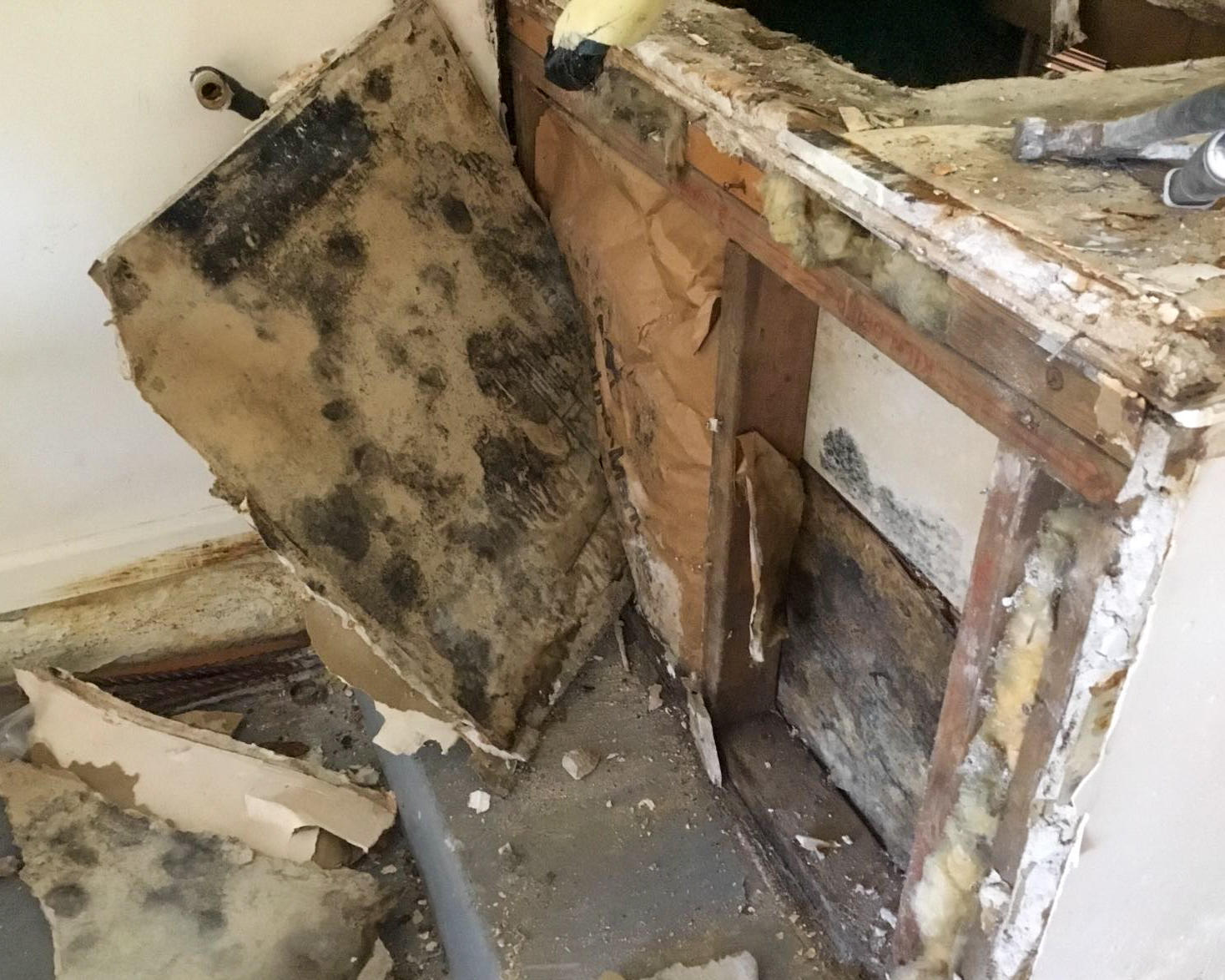 Mold can grow quickly. SERVPRO of Delray Beach can immediately respond to your mold damage by cleaning properly the effected area.