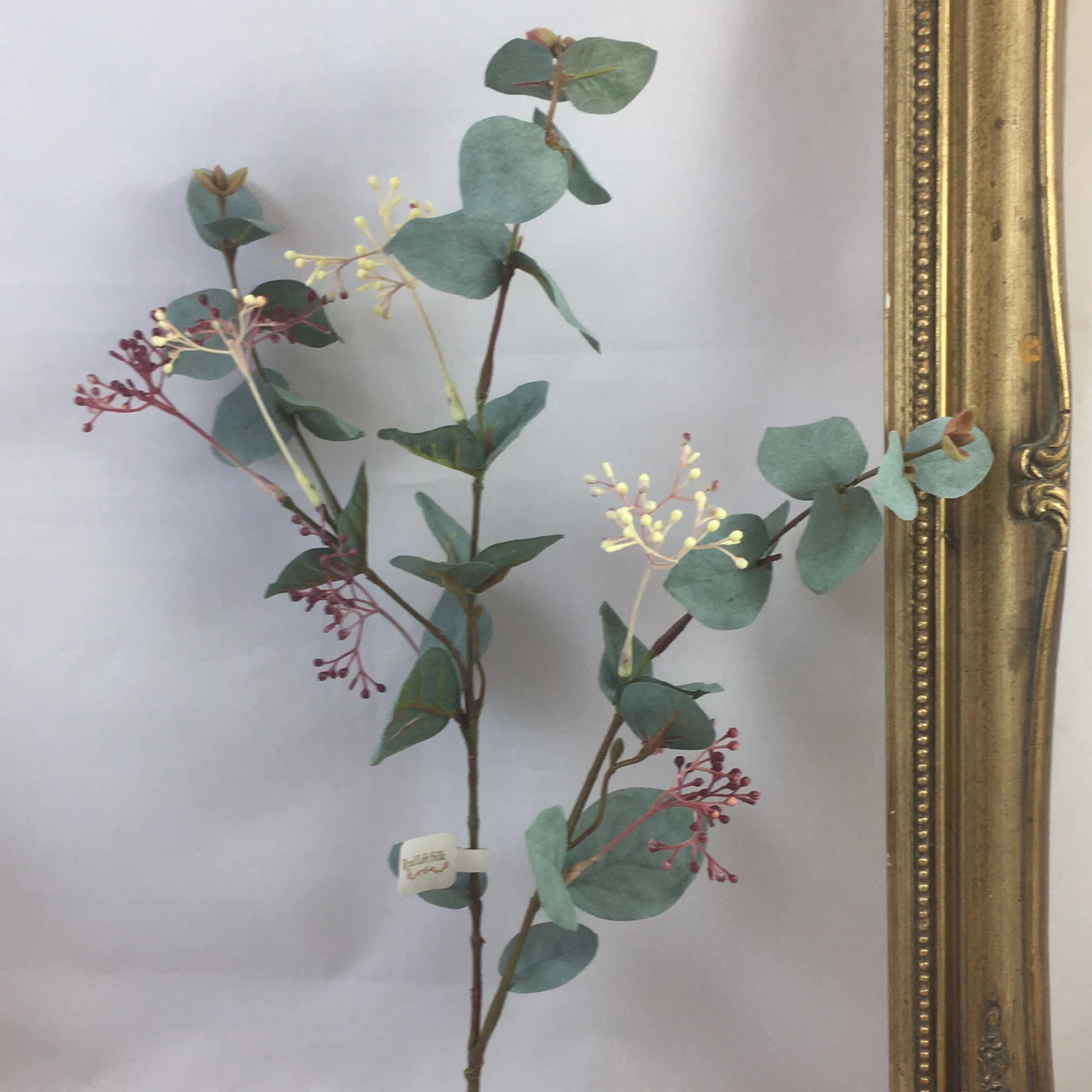 Images Village Green Wholesale Ltd