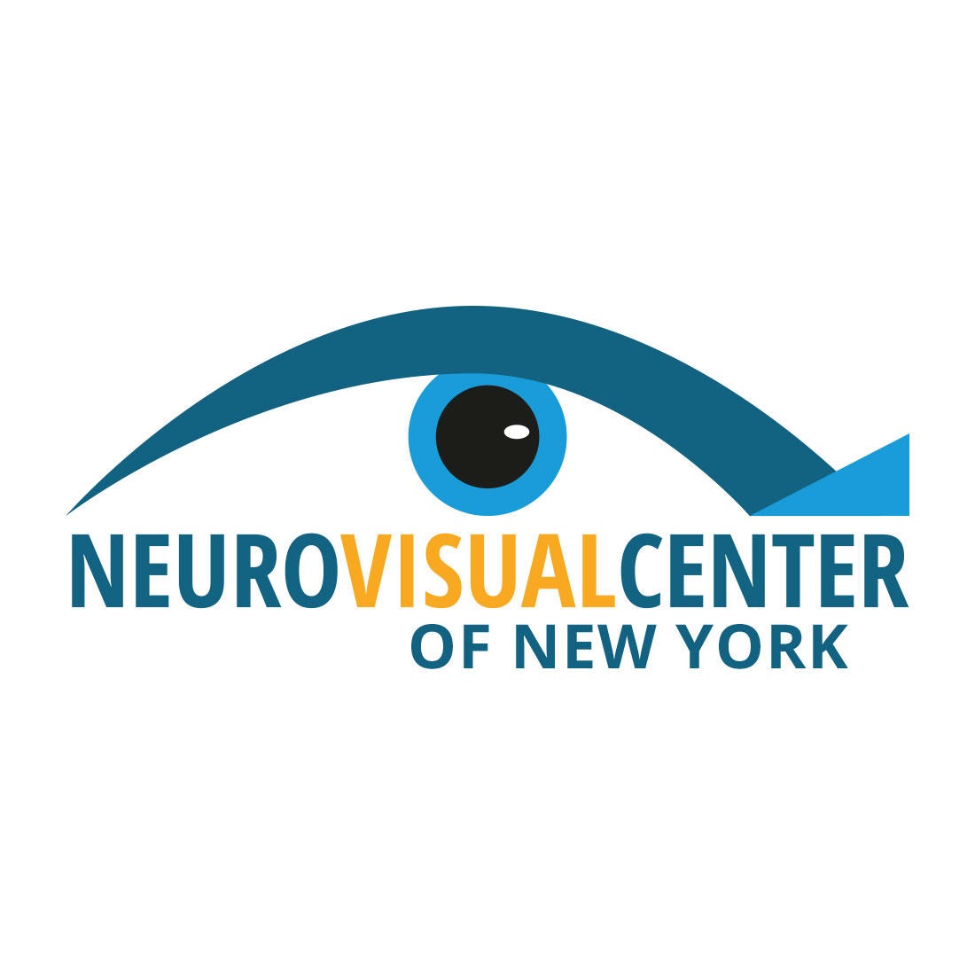 The Neuro Visual Center of New York Logo
