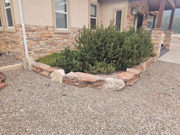 Images H & S Tree Care