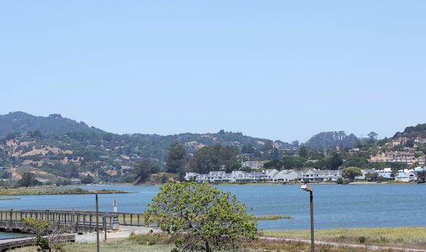 Images Holiday Inn Express Mill Valley San Francisco Area by IHG