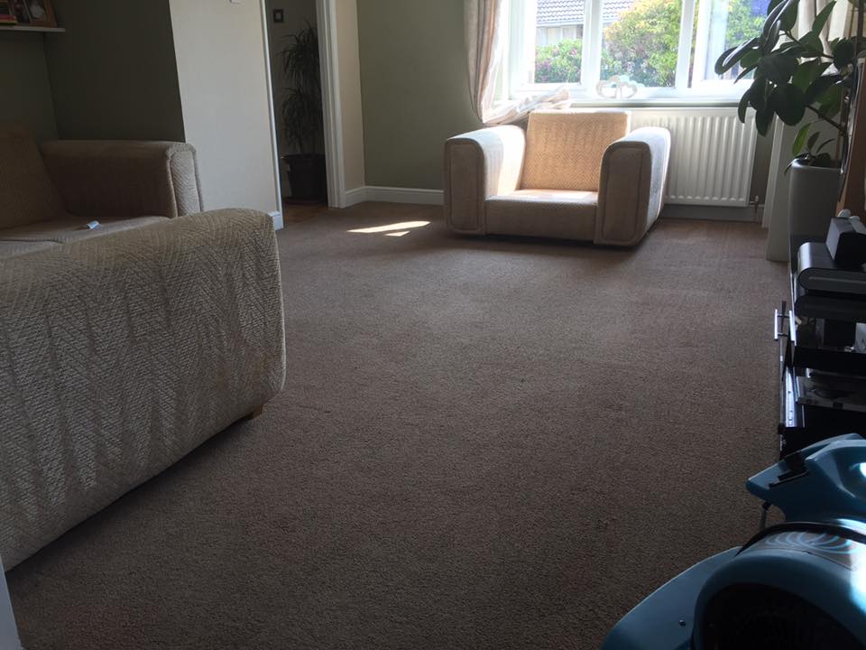 Cowell's Cleaning Services logo: a carpet and sofa we cleaned in Brightlingsea