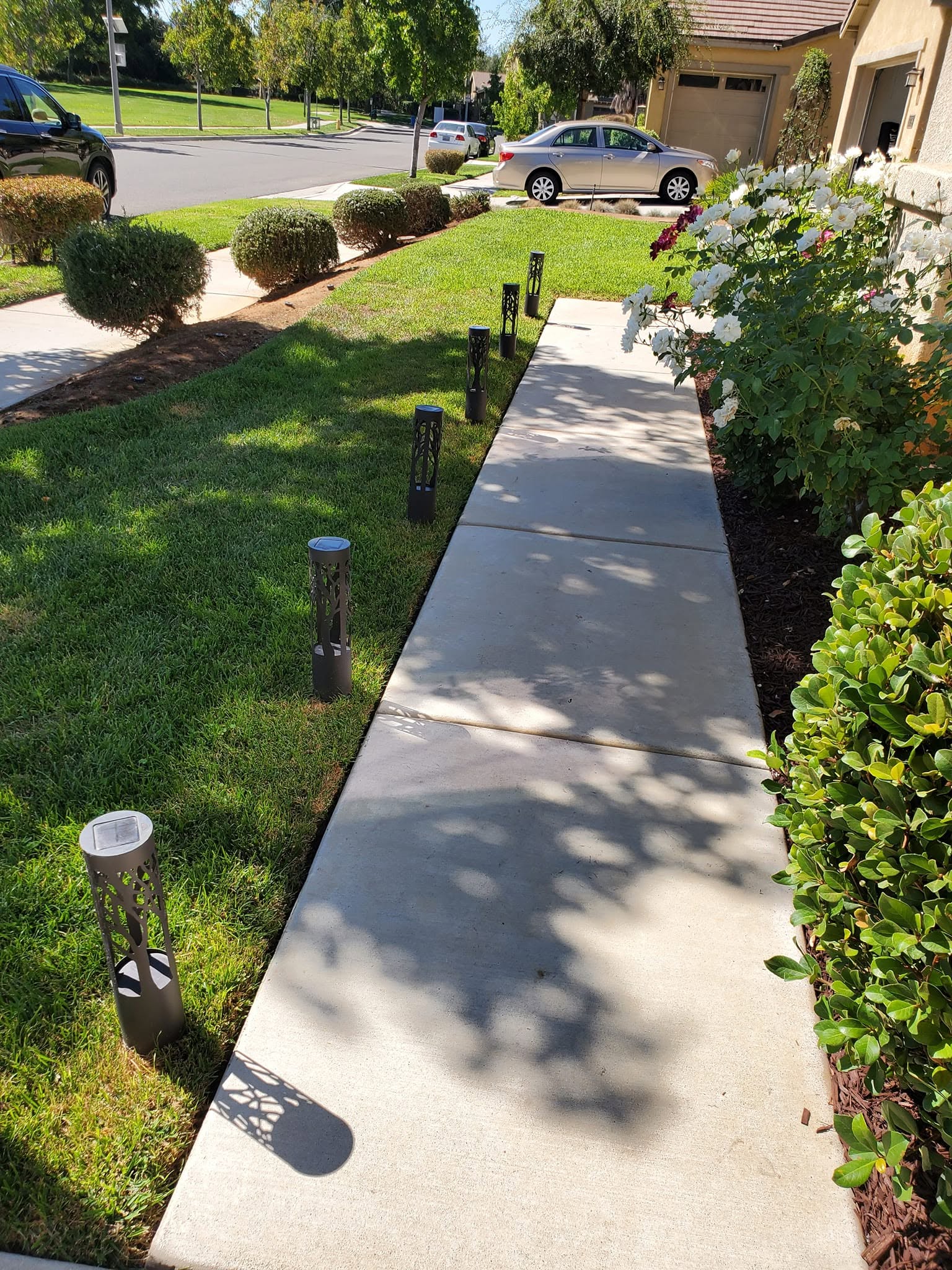 Francisco Landscaping & Construction - concrete installation 
