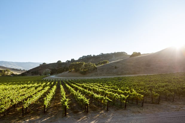 Images The Inn at Mattei's Tavern, Auberge Collection