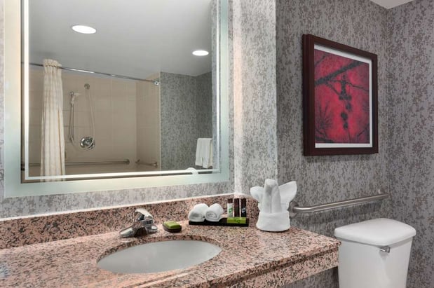 Images Embassy Suites by Hilton Dulles Airport