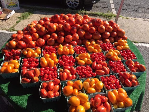 Images Von Thun Farms