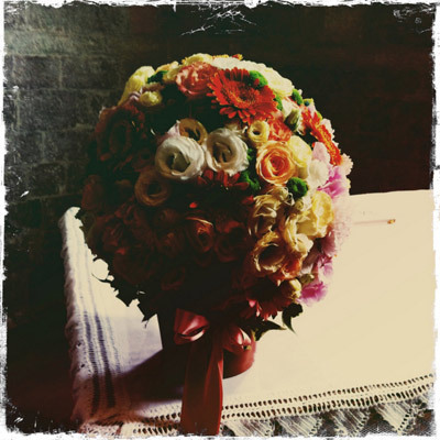 Images Fiori e Piante di Castellani Amedeo e Cristina -Lovely And Flowers