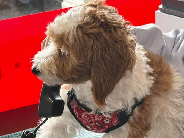 Images Kathy Nash - State Farm Insurance Agent