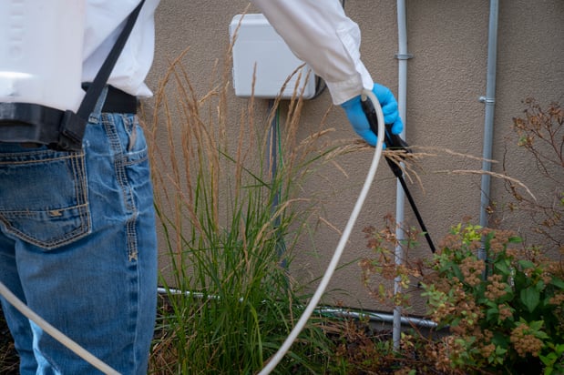 Images First Line Pest Defense