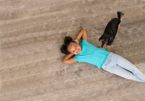 Images Carine Chem-Dry