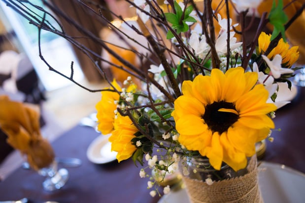 Images Holiday Inn San Antonio Seaworld by IHG