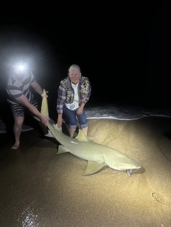 Images NSB Shark Hunters