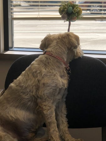 Images Todd Glover - State Farm Insurance Agent