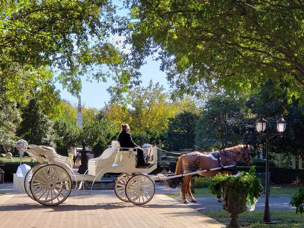 Images A Cinderella Carriage