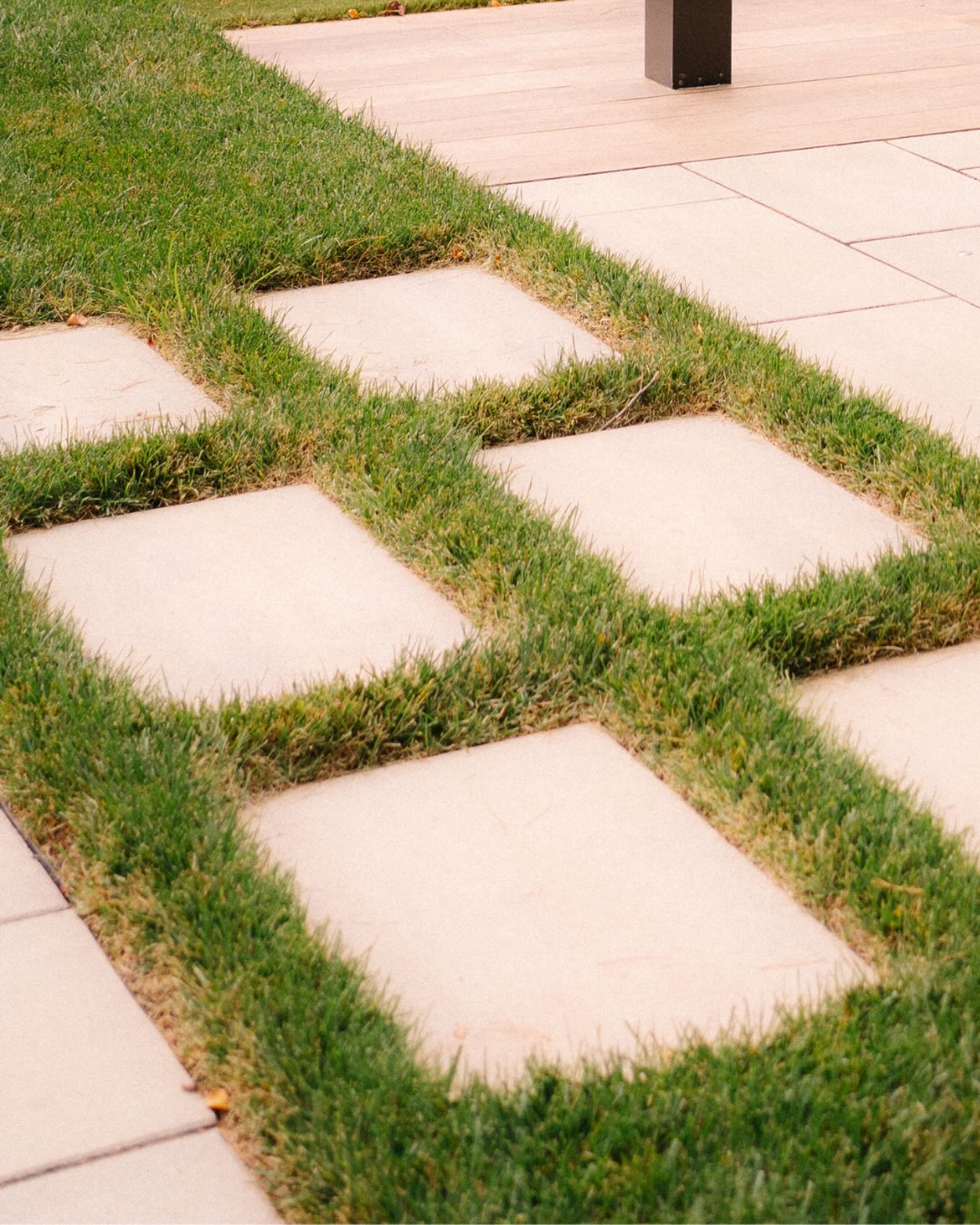 White Pearl Management