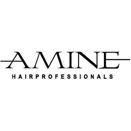 Logo AMINE Hairprofessionals
