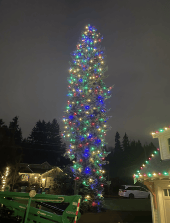 Images Bellevue Holiday Lighting