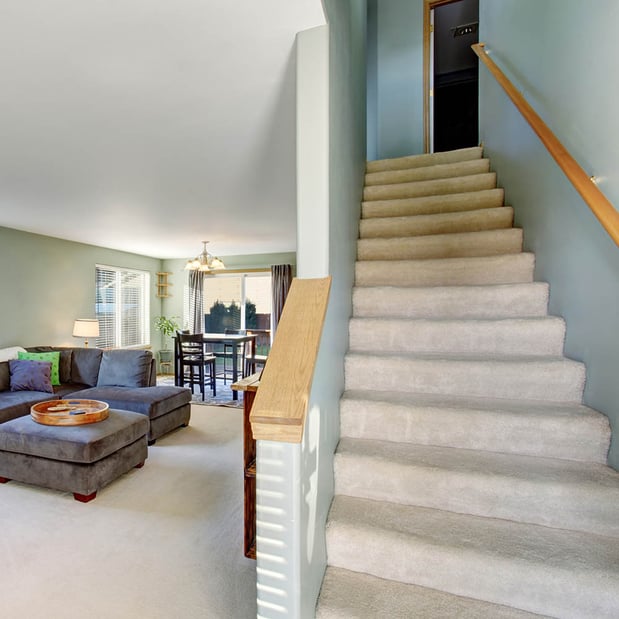 Images Hoffman Carpet Cleaning