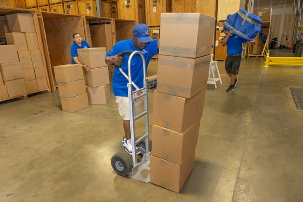 Images Neutz Sons & Daughters Moving