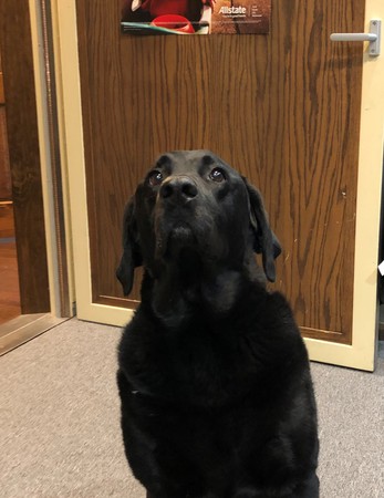 Images Joshua Karas: Allstate Insurance