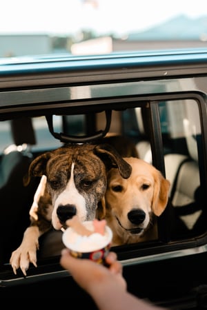 Images Dutch Bros Coffee