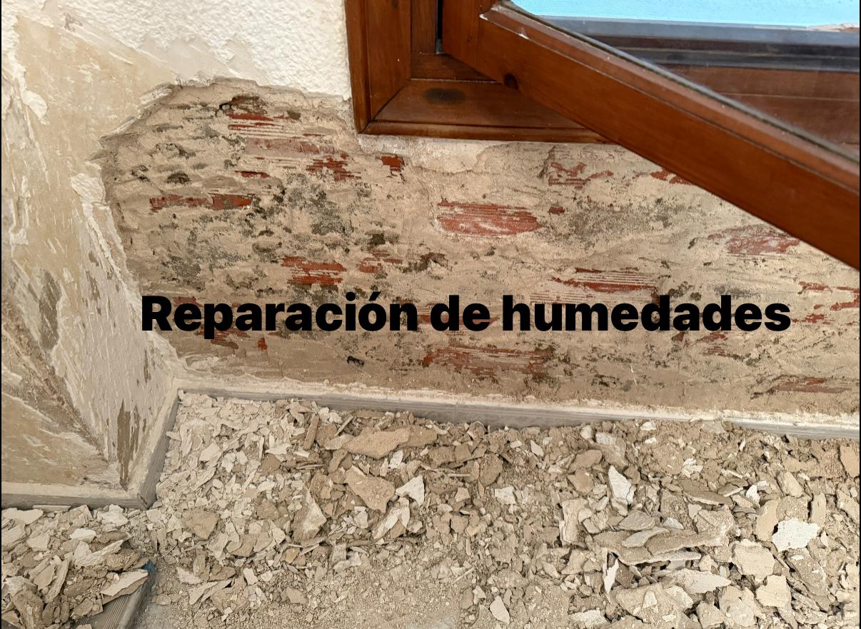 Images Global & Reform