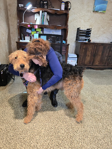 Images Serenity Pet Sitting & Boarding