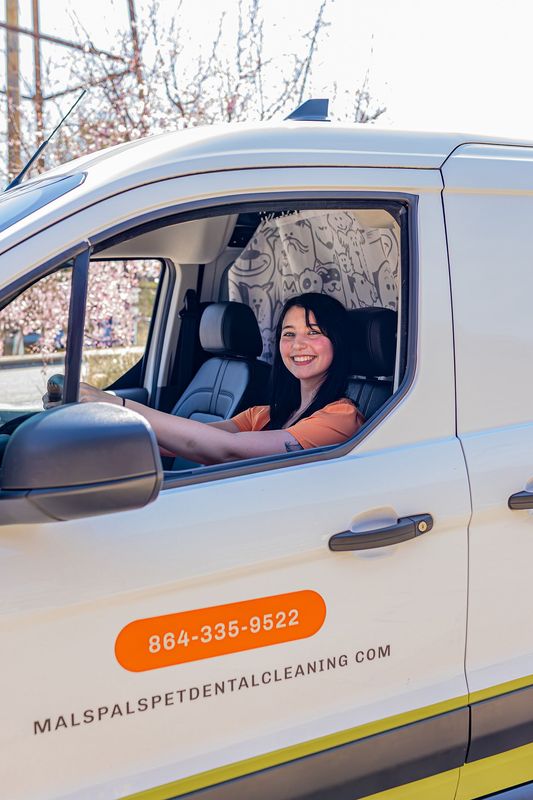 Images MalsPals Pet Dental Cleaning