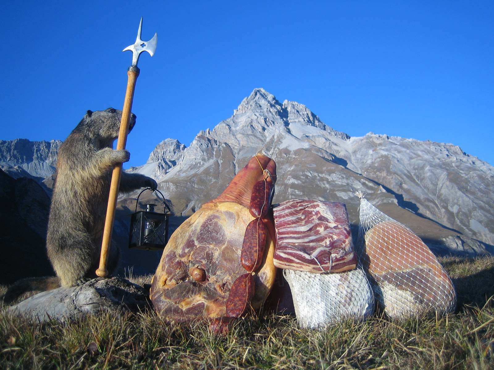 Bilder Spezialitäten-Metzg Splügen