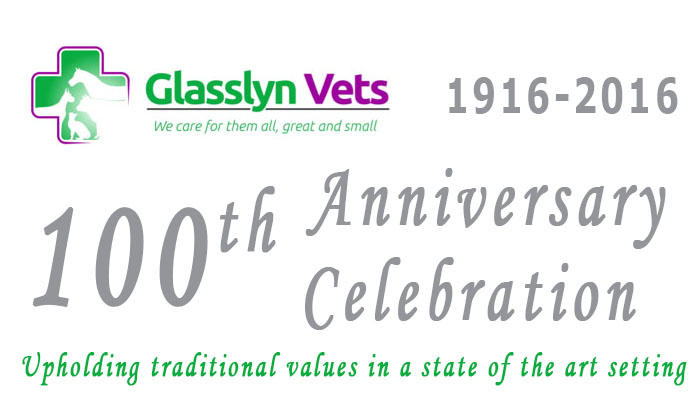 Glasslyn Veterinary Clinic Bandon 2