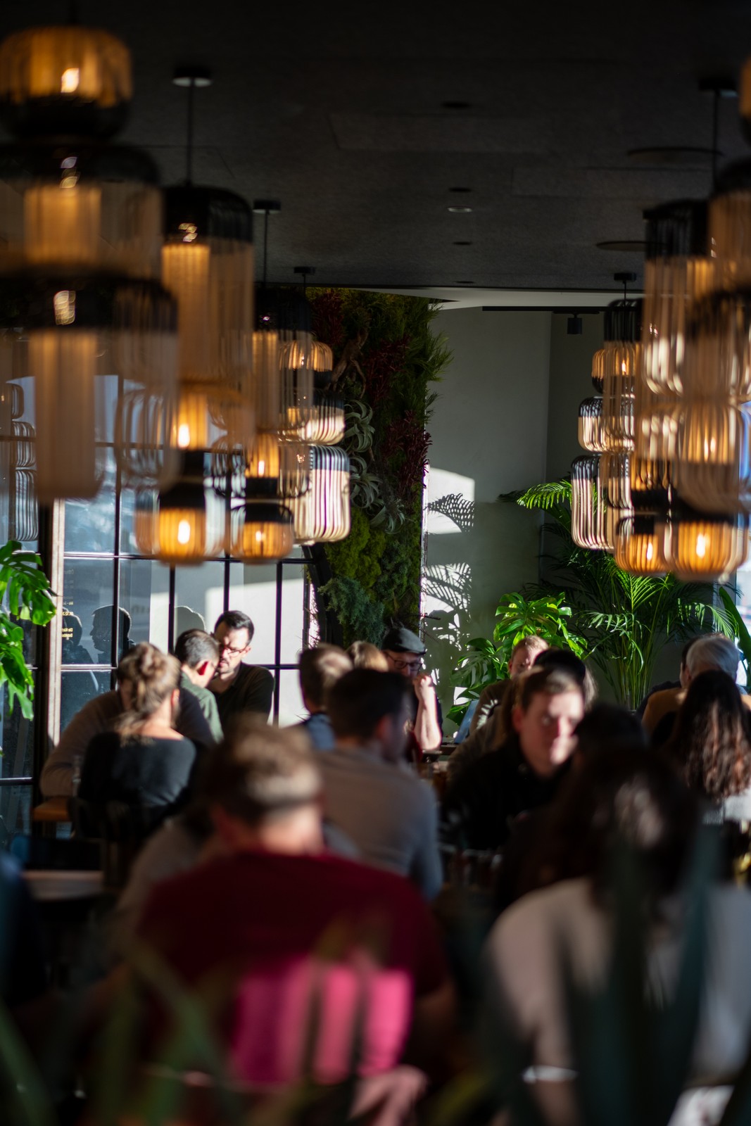 Bilder Nooba Andermatt