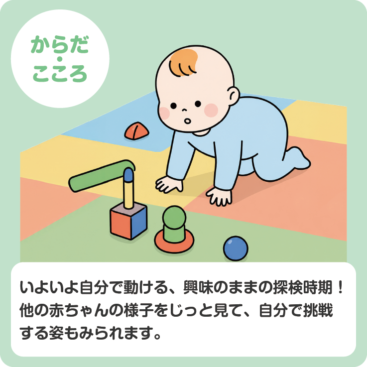 月齢モーダル用_はいはい１