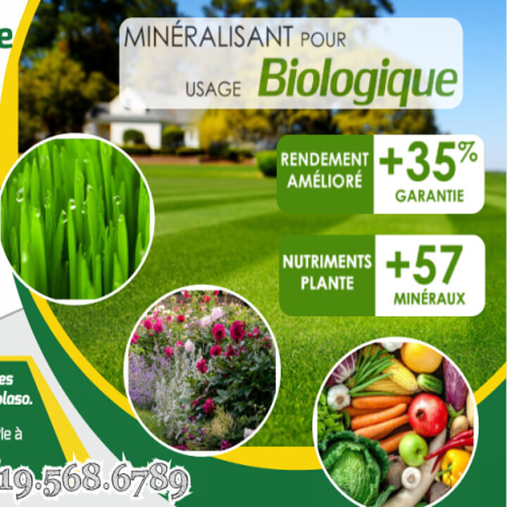 Images Hortiplan Outaouais inc paysagiste