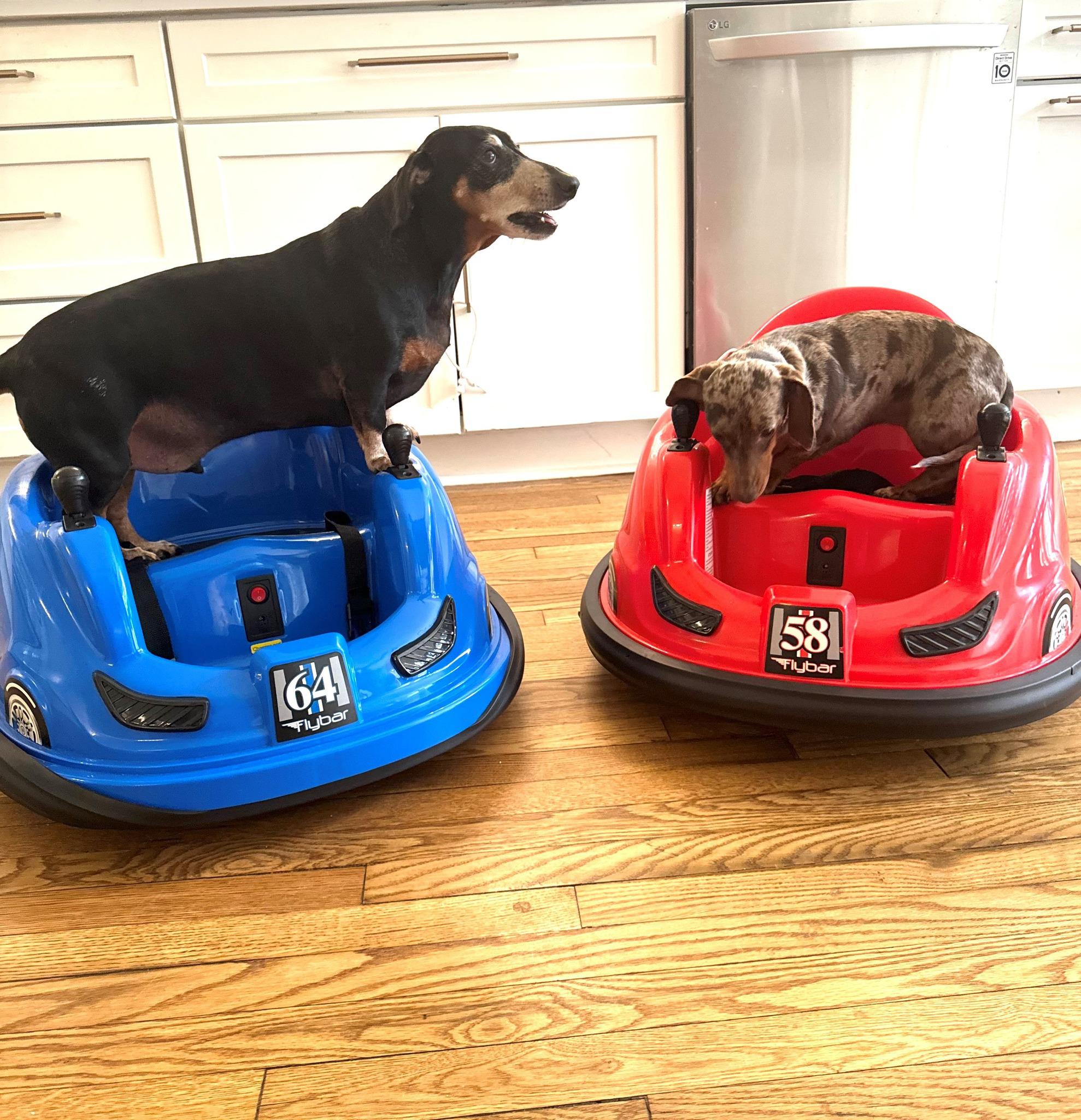 Don't play bumper cars with your auto insurance ... you never know who is on the road! Contact us for a comprehensive review of your coverages.

📍412 W Gordon Street, Thomaston, GA 30286
☎️(706)  647-5353