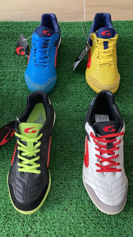 Images Zeus Torino Sport