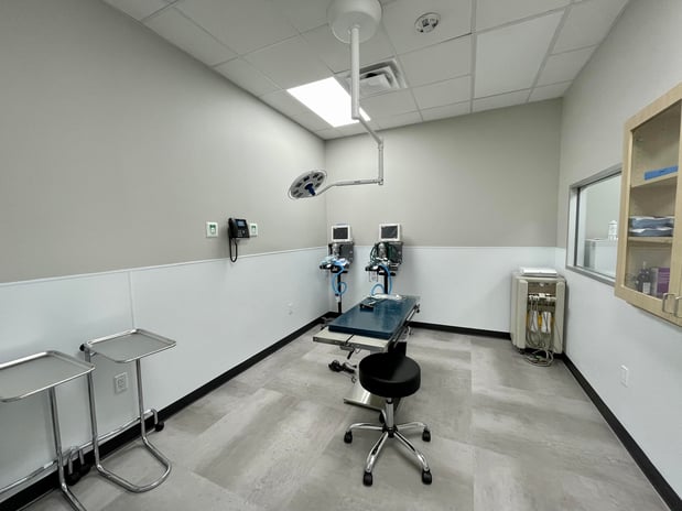 Images CityVet | Kingwood Veterinary Clinic & Urgent Care