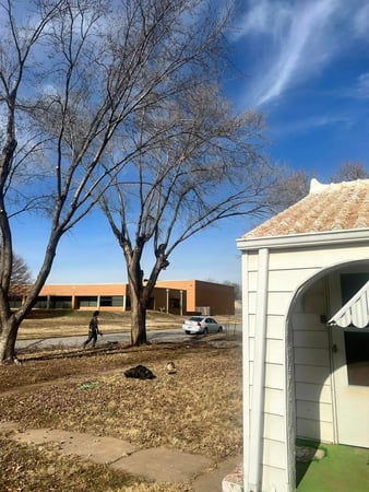 Images ICT Tree Service