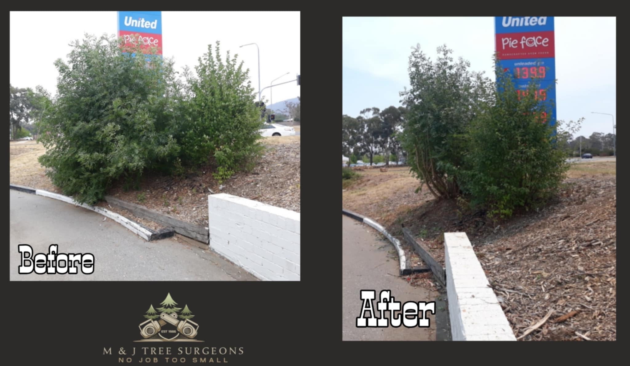 Images M & J Tree Surgeons