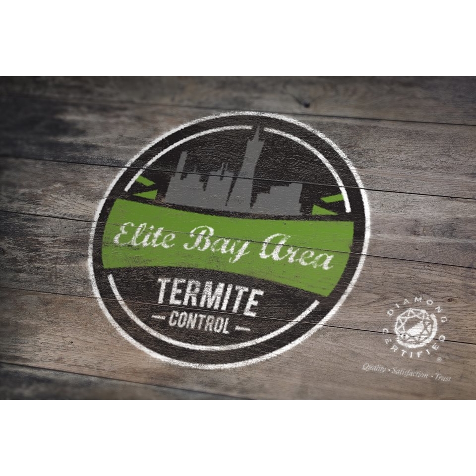Elite Bay Area Termite Control