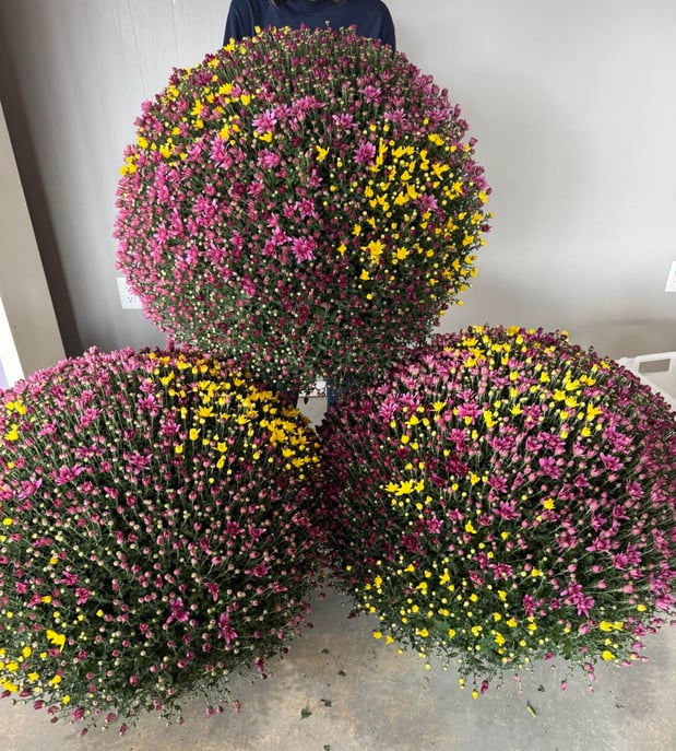 Images Flower Shoppe Inc