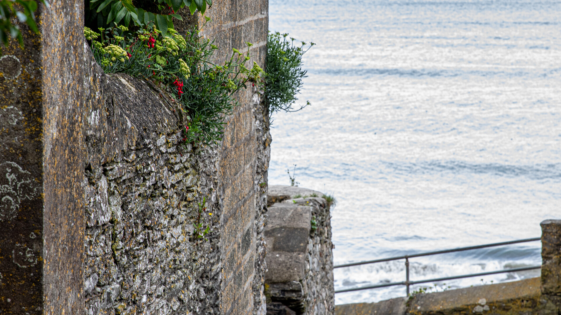 Images Inn On The Shore