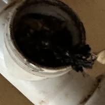 Stamport Plumbing Image