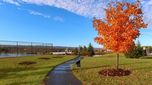 Images DRB Homes Martinsburg Station Townhomes