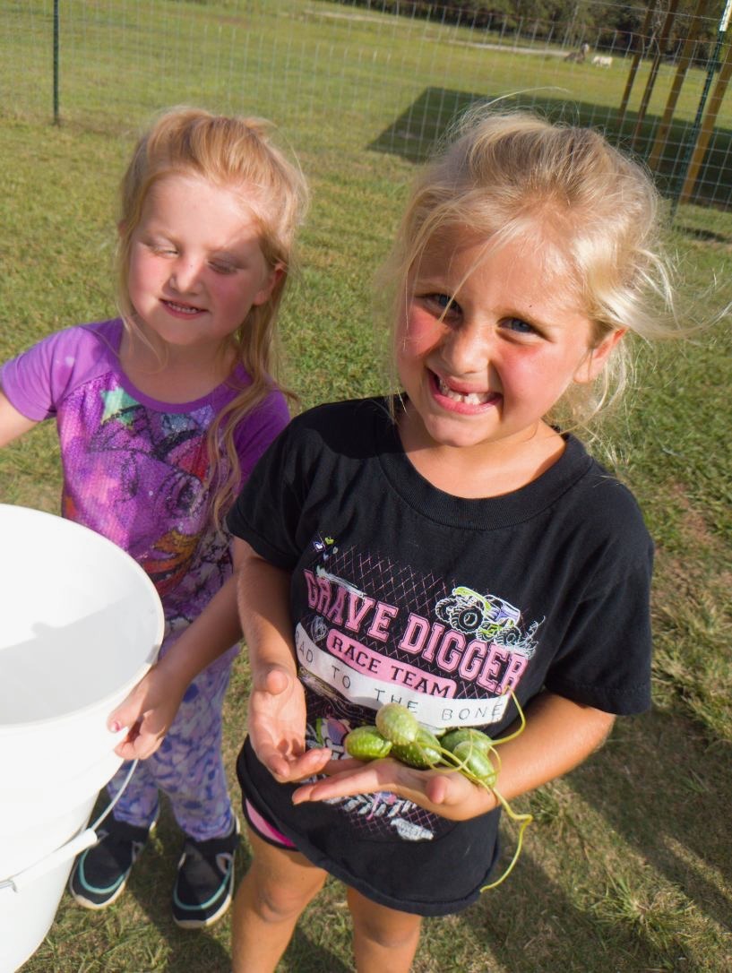 Little Folks Farm & Childcare Image