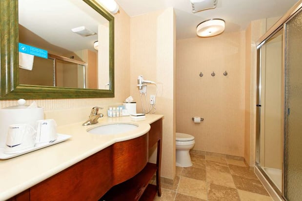 Images Hampton Inn Montrose