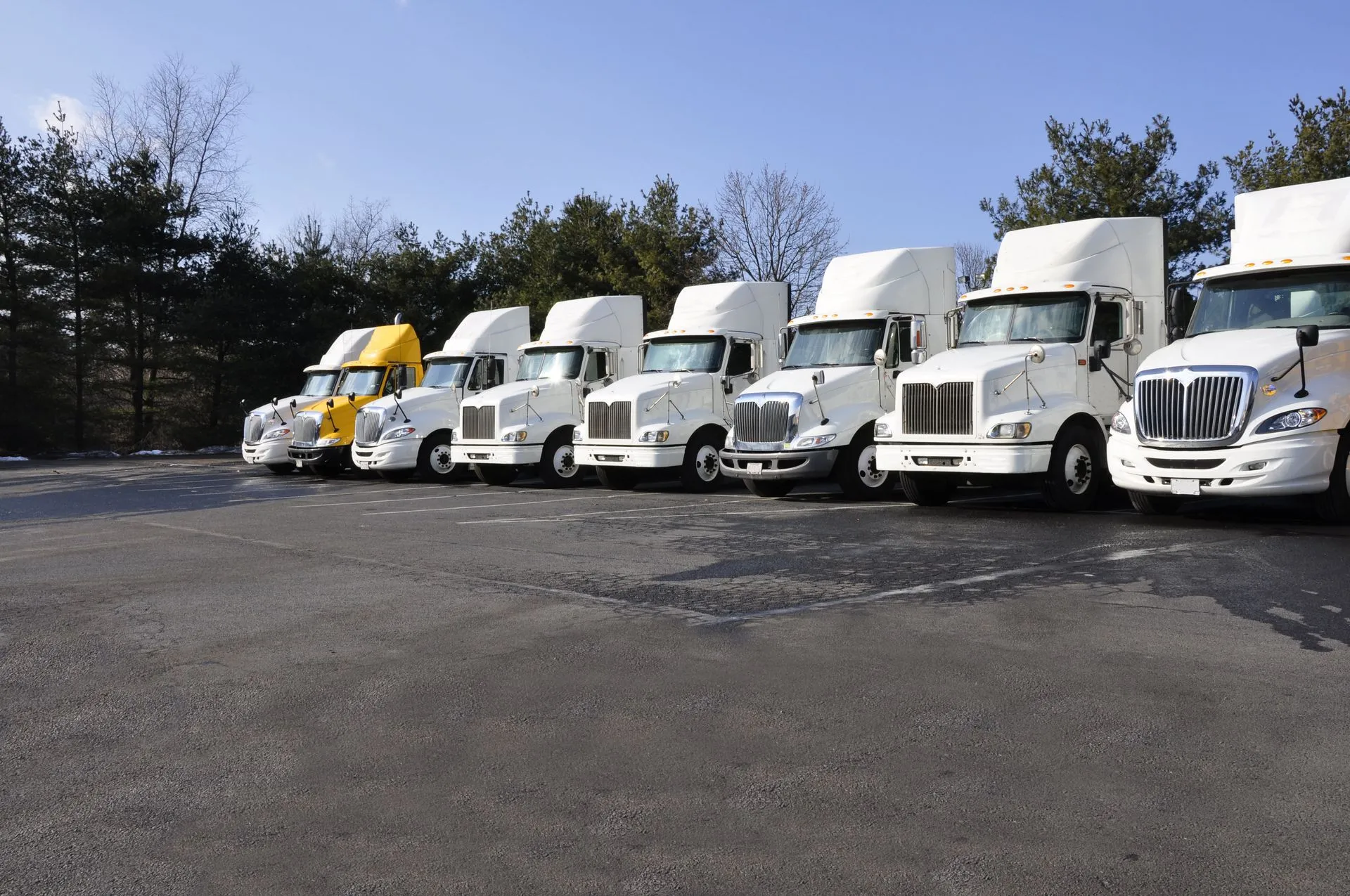 DT Services