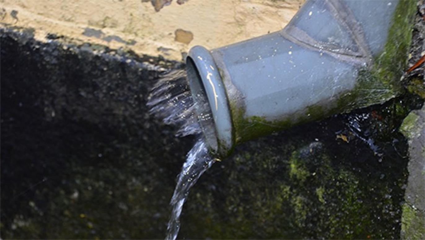 Images R. Hansen & Søn ApS