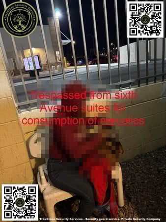 Images TreeStone Security Services