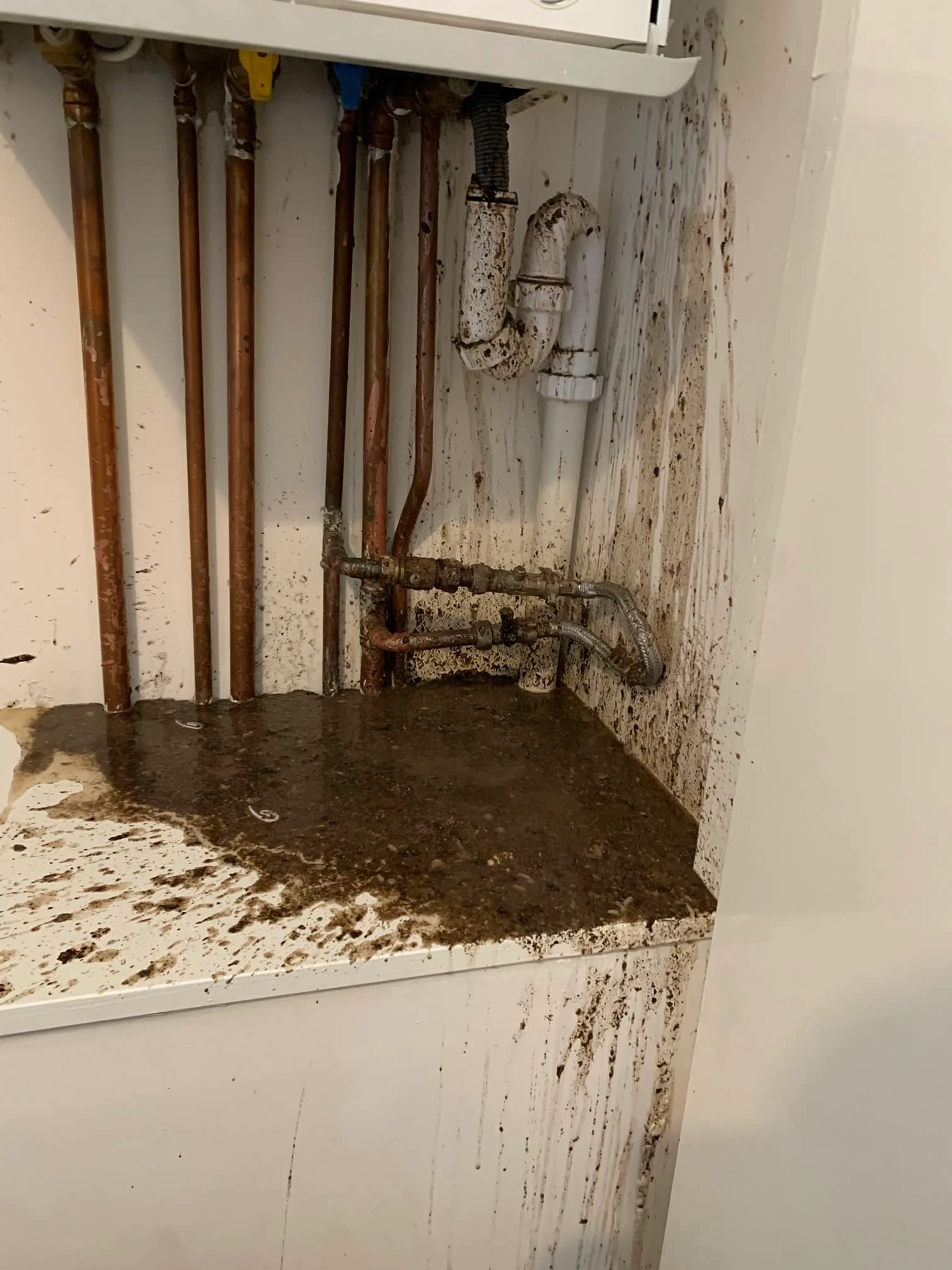 Images No.1 Drains Aberdeen Ltd