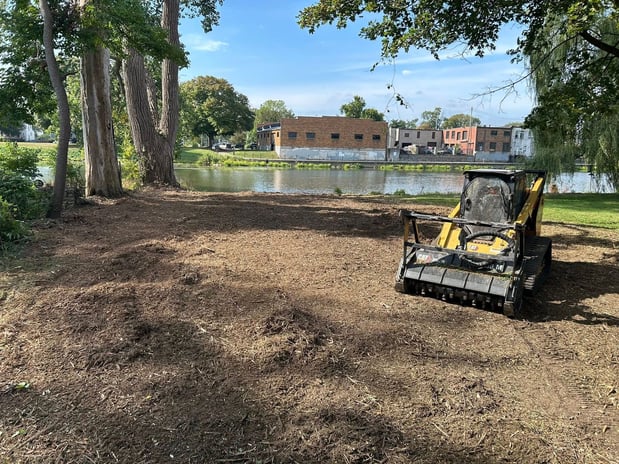 Images Monroe Tree and Land Clearing